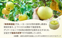 【2026年度発送先行予約】数量限定&nbsp;二十世紀梨&nbsp;3kg【梨&nbsp;なし&nbsp;二十世紀&nbsp;果物&nbsp;フルーツ&nbsp;3キロ&nbsp;新鮮&nbsp;鳥取県&nbsp;北栄町&nbsp;おすすめ&nbsp;人気】