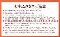 【2026年度発送&nbsp;先行予約】訳あり&nbsp;二十世紀梨&nbsp;5kg【梨&nbsp;なし&nbsp;家庭用&nbsp;訳アリ&nbsp;二十世紀&nbsp;果物&nbsp;フルーツ&nbsp;5キロ&nbsp;新鮮&nbsp;鳥取県&nbsp;北栄町&nbsp;おすすめ&nbsp;人気】