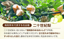 【2026年度発送&nbsp;先行予約】訳あり&nbsp;二十世紀梨&nbsp;5kg【梨&nbsp;なし&nbsp;家庭用&nbsp;訳アリ&nbsp;二十世紀&nbsp;果物&nbsp;フルーツ&nbsp;5キロ&nbsp;新鮮&nbsp;鳥取県&nbsp;北栄町&nbsp;おすすめ&nbsp;人気】