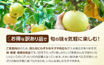 【2026年度発送&nbsp;先行予約】訳あり&nbsp;二十世紀梨&nbsp;3kg【梨&nbsp;なし&nbsp;家庭用&nbsp;訳アリ&nbsp;二十世紀&nbsp;果物&nbsp;フルーツ&nbsp;3キロ&nbsp;新鮮&nbsp;鳥取県&nbsp;北栄町&nbsp;おすすめ&nbsp;人気】