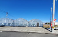 いちご狩り&nbsp;大人2名&nbsp;4品種栽培