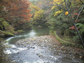 【白鷺湯たわらや】平休日1泊2食付　ペア宿泊券《和室》