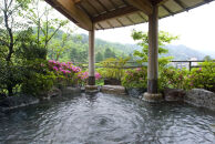 【花紫】平休日1泊2食付　ペア宿泊券《和室》