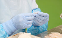 極上白えび刺身&nbsp;30g&nbsp;2パック