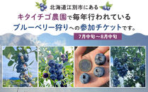 ブルーベリー狩り　（大人2人）