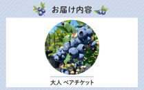 ブルーベリー狩り　（大人2人）