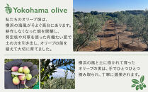 横浜オリーブ　No.５ビエントフレスコ　エクストラバージンオリーブオイル120ml