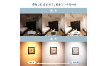 エジソンスマート&nbsp;ミニスポットライト&nbsp;【ホワイト】&nbsp;福岡市