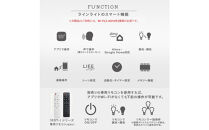 エジソンスマート&nbsp;ラインライト&nbsp;300mm&nbsp;for&nbsp;ダクトレール&nbsp;&nbsp;ブラック&nbsp;福岡市