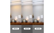 エジソンスマート&nbsp;ラインライト&nbsp;800mm&nbsp;for&nbsp;ダクトレール&nbsp;ブラック&nbsp;福岡市