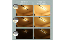 エジソンスマート&nbsp;ラインライト&nbsp;800mm&nbsp;for&nbsp;ダクトレール&nbsp;ブラック&nbsp;福岡市