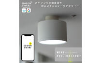 エジソンスマートミニシーリングライト&nbsp;引掛けシーリング用&nbsp;【ホワイト】&nbsp;福岡市