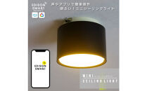 エジソンスマートミニシーリングライト&nbsp;引掛けシーリング用&nbsp;【ブラック】&nbsp;福岡市