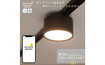 エジソンスマートミニシーリングライト&nbsp;for&nbsp;ダクトレール&nbsp;【ブラック】&nbsp;福岡市