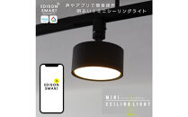エジソンスマートミニシーリングライト&nbsp;アーム付き(ダクトレール用)&nbsp;【ブラック】&nbsp;福岡市