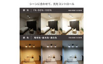 エジソンスマートミニシーリングライト&nbsp;アーム付き(ダクトレール用)&nbsp;【ブラック】&nbsp;福岡市