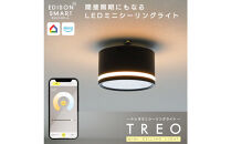 エジソンスマート&nbsp;TREO&nbsp;ミニシーリングライト&nbsp;引掛けシーリング用&nbsp;【ブラック】&nbsp;&nbsp;福岡市