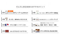 羽毛布団&nbsp;シングル&nbsp;フランス産&nbsp;ダックダウン90%&nbsp;1.3kg&nbsp;(ブルー)&nbsp;ボディーアームスキルト&nbsp;380dp