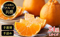 JA和歌山&nbsp;マルゴ共撰&nbsp;デコポン&nbsp;24玉入り&nbsp;Lサイズ&nbsp;5kg箱