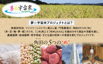 【角田市&nbsp;令和7年産】特別栽培米(有機・無農薬)夢☆宇宙米ササニシキ(1等米)玄米30kg