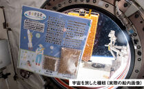 【角田市&nbsp;令和7年産】特別栽培米(有機・無農薬)夢☆宇宙米ササニシキ(1等米)玄米30kg