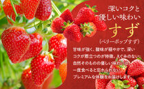 こだわり栽培&nbsp;いちご&nbsp;【食べ比べ】約1kg&nbsp;すず＆おいCベリー（各2パック）【2026年1月下旬～2026年4月末までお届け】