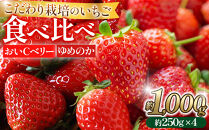 こだわり栽培&nbsp;いちご&nbsp;【食べ比べ】約1kg&nbsp;おいCベリー＆ゆめのか(各2パック)【2026年1月下旬～2026年4月末までお届け】