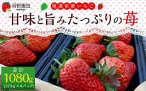 ★まるごと尾道定期便&nbsp;C★【1月～12月まで毎月発送】