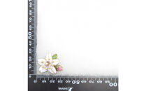 金彩無線七宝焼　桜のタックピンブローチ(ピンバッジ)　[西宮100周年ラベル]