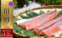 鱒界の頂点を目指しマス！頂鱒（イタダキマス）柵どり&nbsp;（生食用）約1,200g&nbsp;|&nbsp;鱒&nbsp;マス&nbsp;ニジマス&nbsp;刺身&nbsp;鮮魚&nbsp;&nbsp;国産&nbsp;日光市産&nbsp;
