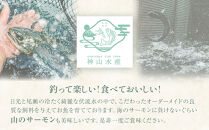 鱒界の頂点を目指しマス！頂鱒（イタダキマス）柵どり&nbsp;（生食用）約1,200g&nbsp;|&nbsp;鱒&nbsp;マス&nbsp;ニジマス&nbsp;刺身&nbsp;鮮魚&nbsp;&nbsp;国産&nbsp;日光市産&nbsp;