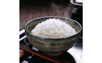 南魚沼&nbsp;塩沢産&nbsp;コシヒカリ&nbsp;パックご飯&nbsp;150g&nbsp;24パック