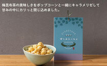 【孔葉堂】ぽっぷこーんぶ2種セット・香葉茶付き&nbsp;|&nbsp;京都&nbsp;お茶&nbsp;人気［&nbsp;京都&nbsp;お茶屋が作ったポップコーン&nbsp;梅昆布茶と相性抜群&nbsp;お茶&nbsp;こんぶ茶&nbsp;新年&nbsp;おもてなし&nbsp;人気&nbsp;おすすめ&nbsp;お取り寄せ&nbsp;通販&nbsp;送料無料&nbsp;ふるさと納税&nbsp;］