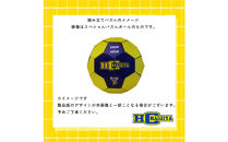 HC名古屋&nbsp;スペシャルパズルボール【トップスポーツチーム活動支援事業寄附金専用】