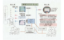 株管ラクラク&nbsp;ソフト：株投資歴の一望可視化整理・管理と売買試算が可能