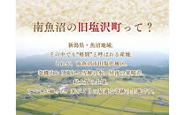 【令和7年度産】【定期便】南魚沼「旧塩沢」限定&nbsp;コシヒカリ【5kg×6回】白米