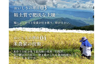 【令和7年度産】【定期便】南魚沼「旧塩沢」限定&nbsp;コシヒカリ【5kg×6回】白米