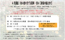 プロが教えるバラ栽培実技講座【4月：新苗の植え付け】
