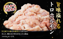 黒毛和牛トロホルモン（小腸）　特製だし0.9kg&nbsp;(&nbsp;300g&nbsp;×3パック&nbsp;)【順次発送】