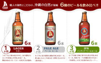 【6ヶ月定期便　全6回】　チャタンビール飲み比べ（1種6本×6回）