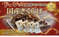 いりすのきのこ　乾燥きくらげ（20g×4パック）