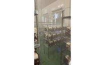 いりすのきのこ　乾燥きくらげ（20g×4パック）