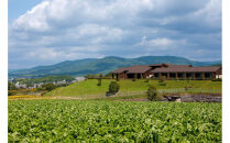 【AUBERGE&nbsp;de&nbsp;SENVIE】ペアランチ券