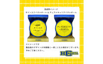 HC名古屋&nbsp;2025-2026シーズン&nbsp;全選手サイン入り&nbsp;スペシャルパズルボール＆デュアルキャリア&nbsp;パズルボール【トップスポーツチーム活動支援事業寄附金専用】