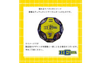 HC名古屋&nbsp;2025-2026シーズン&nbsp;全選手サイン入り&nbsp;スペシャルパズルボール＆デュアルキャリア&nbsp;パズルボール【トップスポーツチーム活動支援事業寄附金専用】