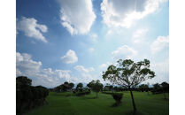 広陵パークゴルフコース１ラウンド特別利用券１０枚セット//広陵町&nbsp;ゴルフ&nbsp;利用券