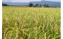 【頒布会】南魚沼産「どん米」白米３升×５ヶ月　ちょっと！うるさいよ！炊き方