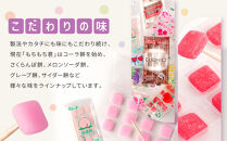 ＼年末感謝祭／駄菓子の定番&nbsp;もちもち君&nbsp;コレクション&nbsp;（collection）16種類×2個&nbsp;【今だけ特別規格】&nbsp;|&nbsp;名古屋市&nbsp;ふるさと納税&nbsp;感謝祭&nbsp;駄菓子&nbsp;お菓子&nbsp;おかし&nbsp;餅&nbsp;もち&nbsp;キャンディ