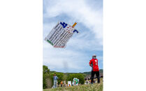 おめでとう！初節句出世凧申込権