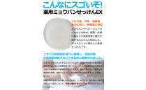 ドクターデオドラント&nbsp;薬用ミョウバンせっけんEX&nbsp;70g
